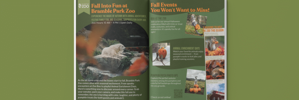 Marketing materials for seasonal campaigns with brand consistency